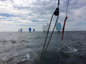 Feld auf Vorwind-Gang